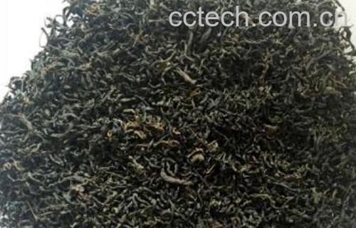 什么人不适合喝辣木茶 辣木叶茶的做法-0