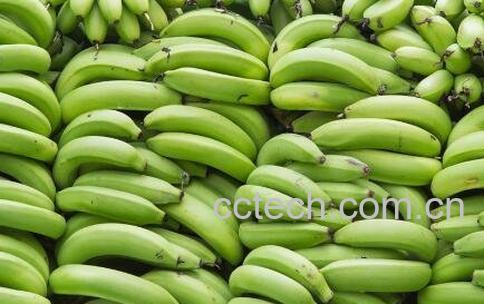 吃香蕉的好处与功效作用-1