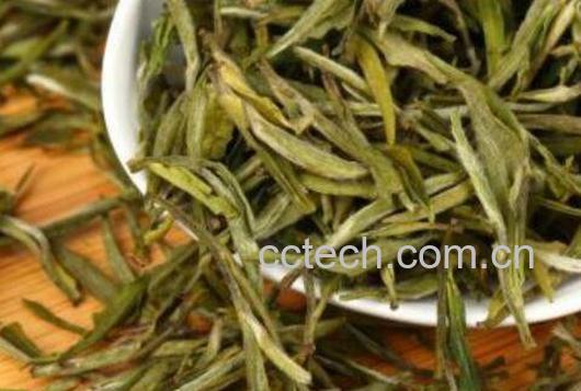 金寨雀舌的功效与作用 金寨雀舌属于什么茶-0