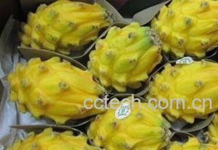 麒麟果的功效与作用-0