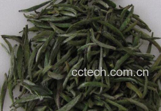 雾里青的功效与作用 喝雾里青的好处-1