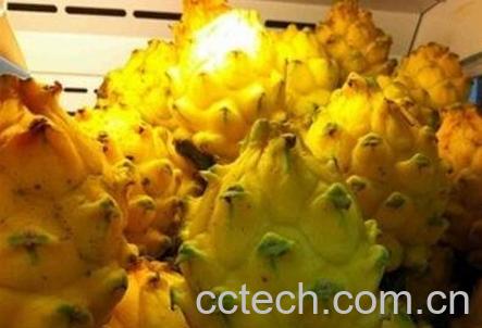 麒麟果的功效与作用-1