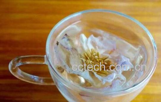 荷花茶的功效与禁忌-1