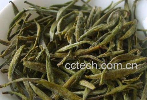 雾里青属于什么茶 雾里青怎么泡-1