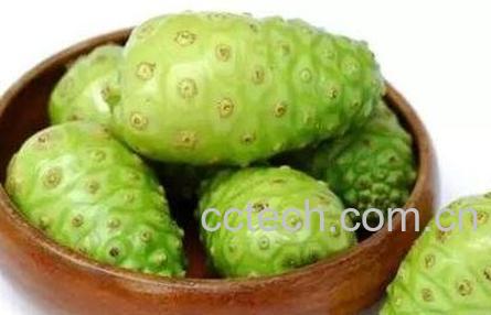 诺丽果的功效与作用-0