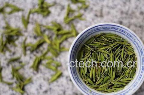 敬亭绿雪茶的功效与作用-1