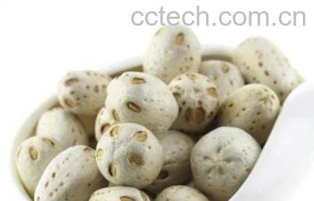 五眼果的功效与作用-1