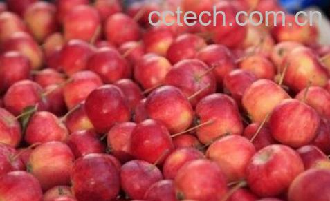 海棠果的功效与作用及食用方法-1