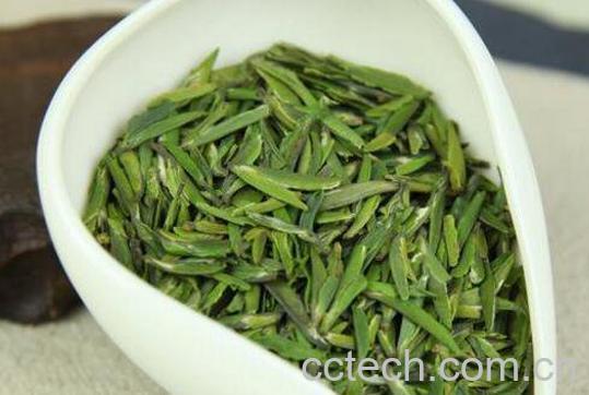 雀舌属于什么茶 喝雀舌的好处-1