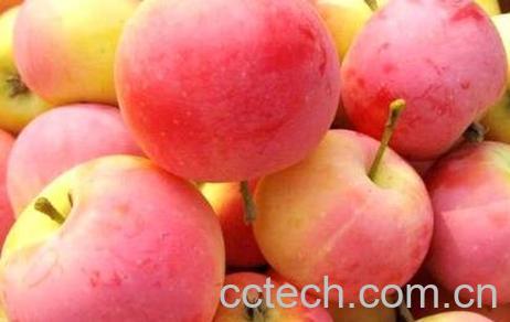 沙果的营养价值与功效作用-1