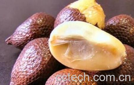 蛇皮果的营养价值-0