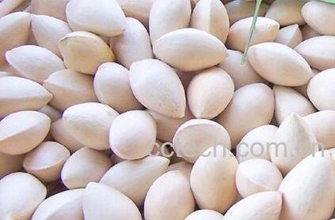 老树银杏果的功效-0