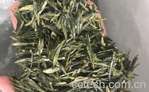 茅山青峰的功效与作用 茅山青峰好喝吗-1