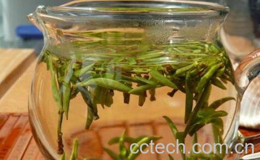 顾渚紫笋属于什么茶 喝顾渚紫笋的功效与作用-0