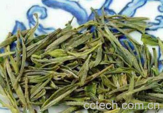 顾渚紫笋属于什么茶 喝顾渚紫笋的功效与作用-1
