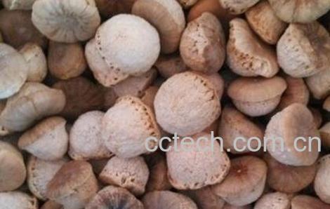 天然补肾果的功效-0