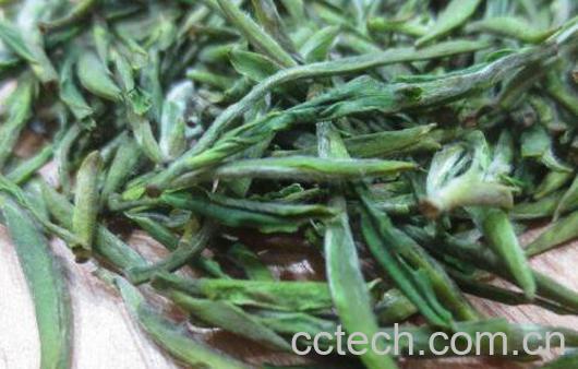 天目青顶的功效与作用 天目青顶属于什么茶-1