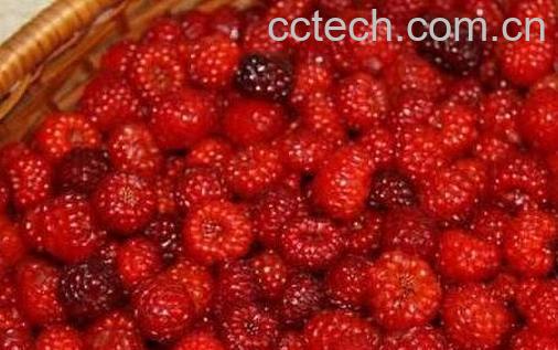 马林果的功效与作用-0