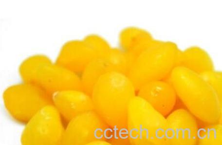 白果仁的功效与作用-0