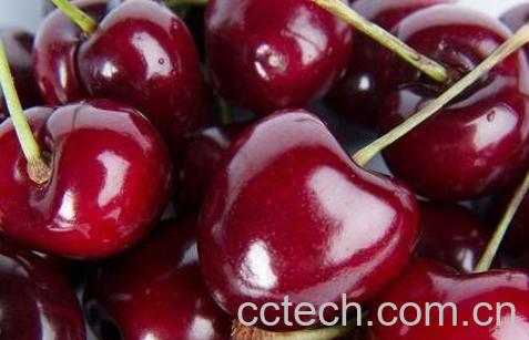车厘子有哪些功效与作用-1