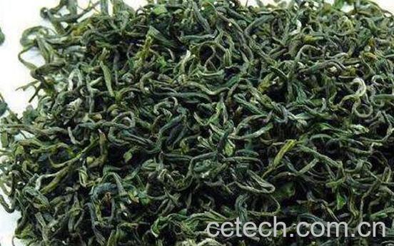 日照绿茶的功效与作用及禁忌-0