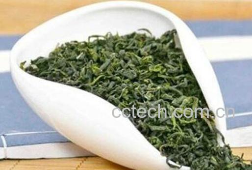 日照绿茶的功效与作用及禁忌-1