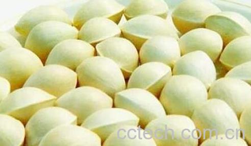 白果如何吃 白果的食用方法-1