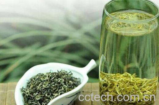 中国十大绿茶排名 中国绿茶排行榜-1