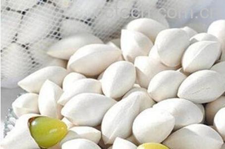 白果怎么去壳 白果快速去壳方法技巧-0