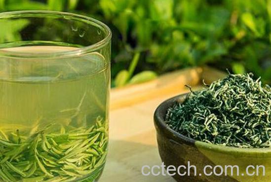 碧螺春属于什么茶 碧螺春怎么泡-0