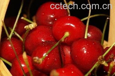 孕妇吃樱桃好吗 孕妇吃樱桃的好处和坏处-0