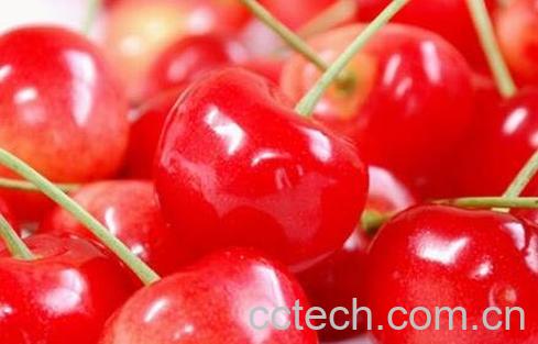 孕妇吃樱桃好吗 孕妇吃樱桃的好处和坏处-1