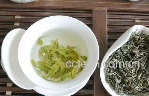 碧螺春的功效与作用 喝碧螺春的好处-0