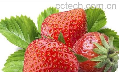 草莓的好处和功效有哪些-0