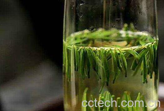 雀舌如何泡好喝 雀舌的冲泡方法-0