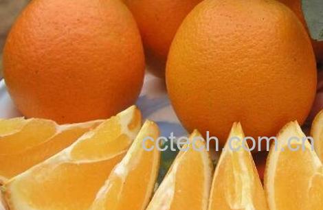 橙子不能和什么一起吃 吃橙子的禁忌-1