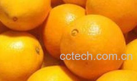 橙子不能和什么一起吃 吃橙子的禁忌-0