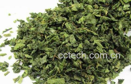 山枣叶茶如何吃 山枣叶茶制作方法-0