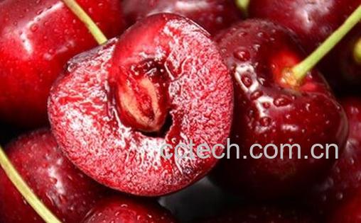 车厘子是什么 吃车厘子有什么好处-1