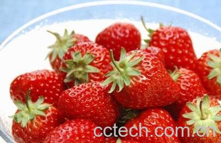 孕妇可以吃草莓吗 孕妇吃草莓的好处-0