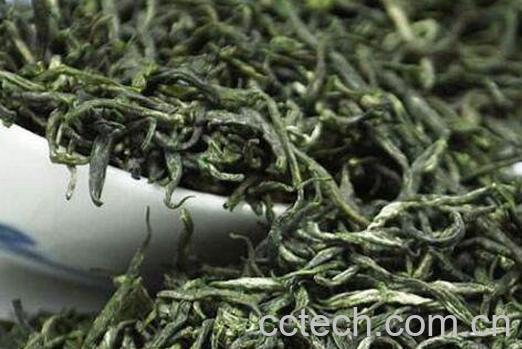 毛尖如何泡好喝 毛尖的冲泡方法-1