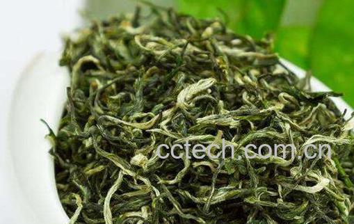 毛尖如何泡好喝 毛尖的冲泡方法-0