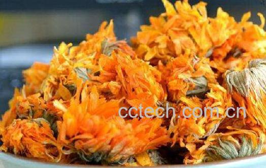 金盏花茶的功效与作用-1