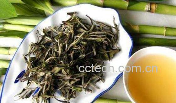 白茶如何泡好喝 白茶的冲泡方法-1