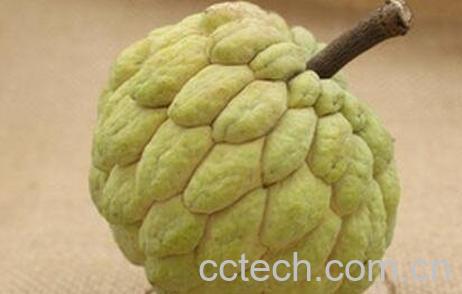 林檎怎么吃 林檎的吃法技巧和功效-0