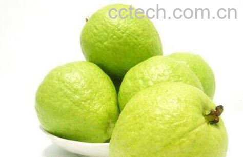 芭乐与番石榴的区别-0