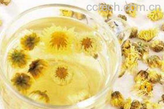 孕妇可以喝菊花茶吗 孕妇喝菊花茶的好处和功效-0