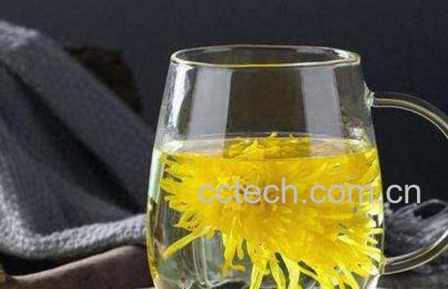 孕妇可以喝菊花茶吗 孕妇喝菊花茶的好处和功效-1