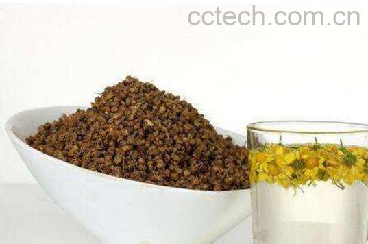 野菊花茶的功效与作用有哪些-0