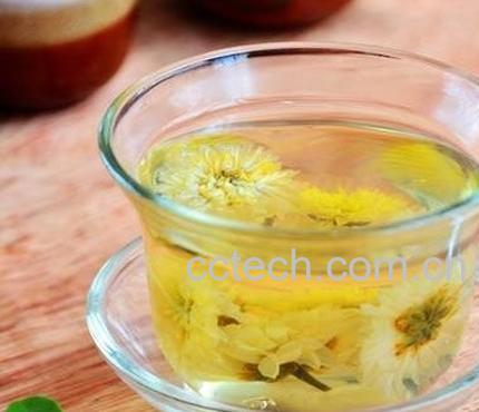 菊花茶-0